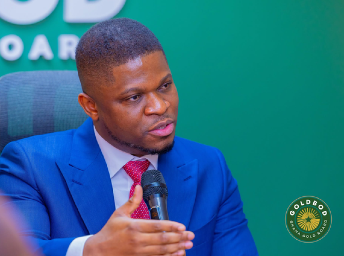 Akufo-Addo government fought anti-galamsey campaigners, not illegal mining – Sammy Gyamfi